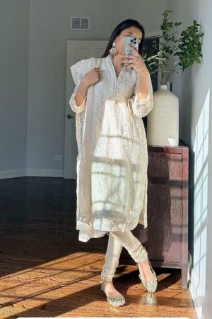 chiffon shirt and dupatta with thread work (pants not included)